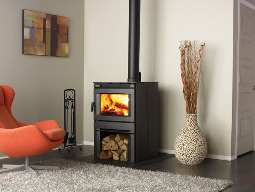 living room modern wood stove
