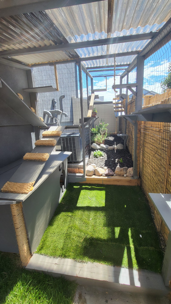 The Purr-fect Playground✨