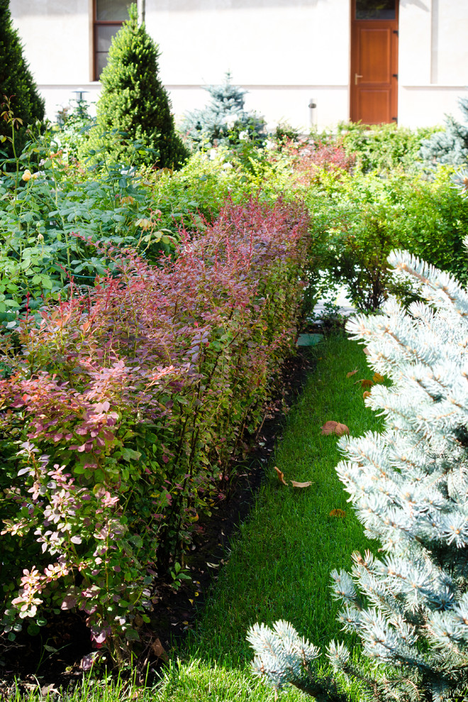 Глянцевый лес