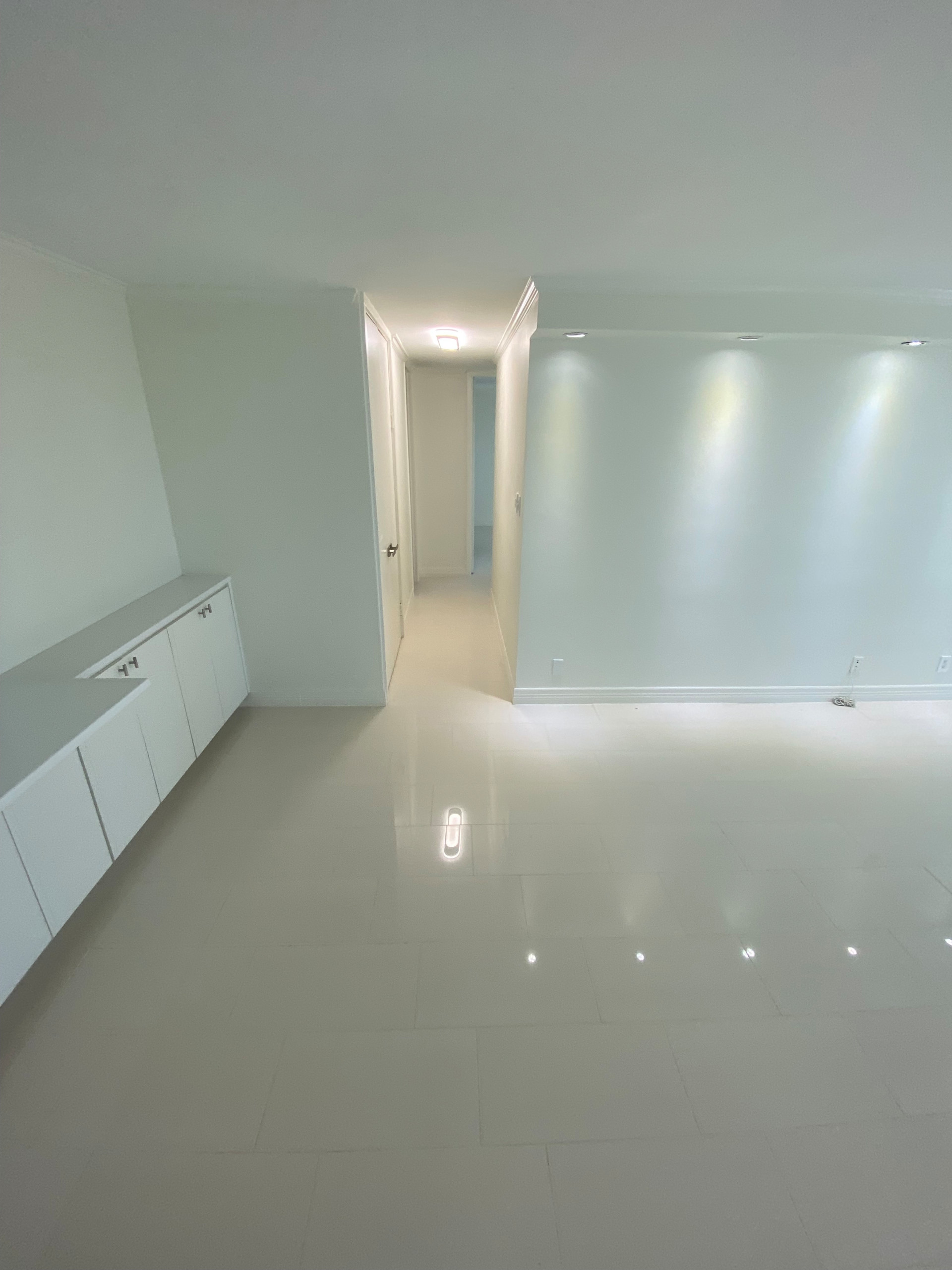 Kitchen and Living Space Remodel