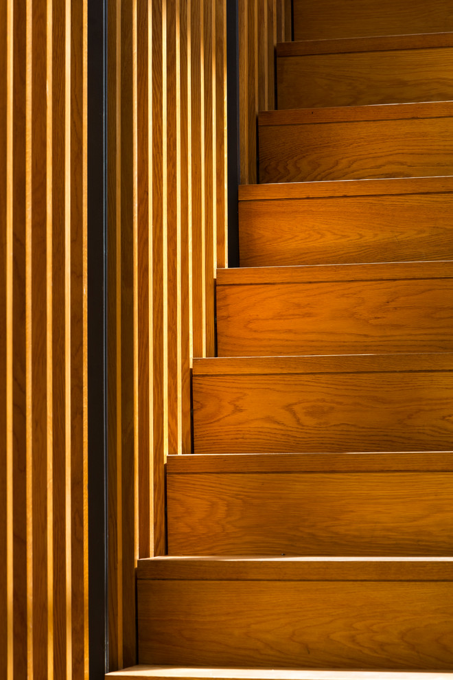 シドニーにあるコンテンポラリースタイルのおしゃれなスケルトン階段 (木の蹴込み板) の写真