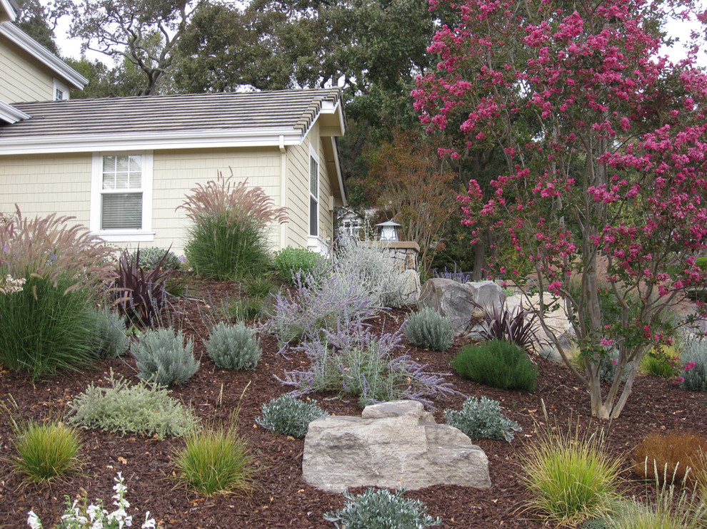 Design ideas for an expansive mediterranean sloped full sun xeriscape for fall in San Francisco.