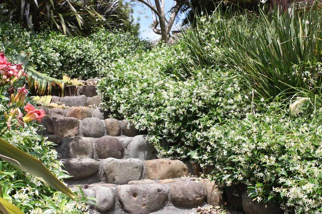 Michelle McDonnell Landscape Design gallery contemporary-garden