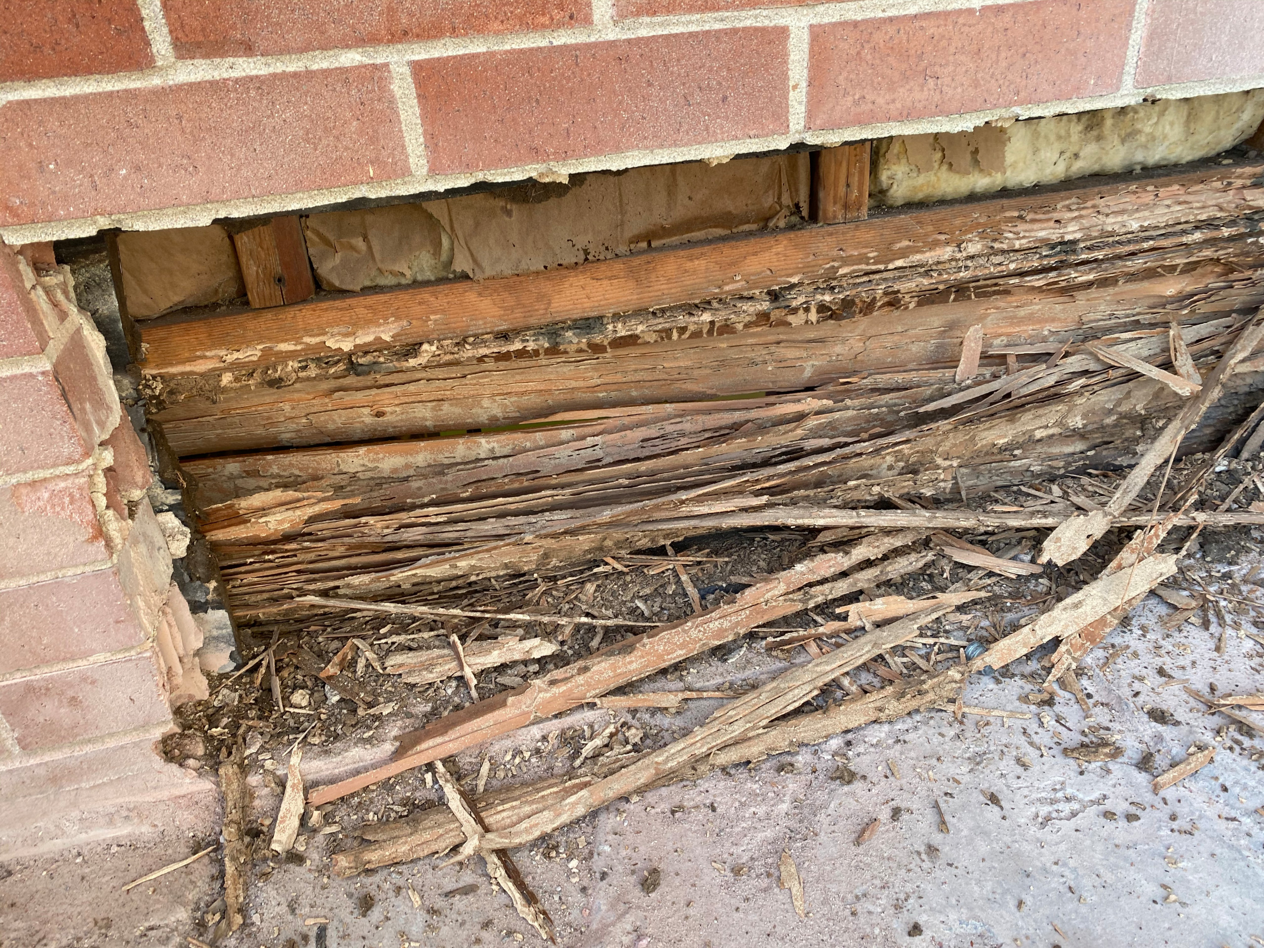 Termite Damage Rim Joist Repair