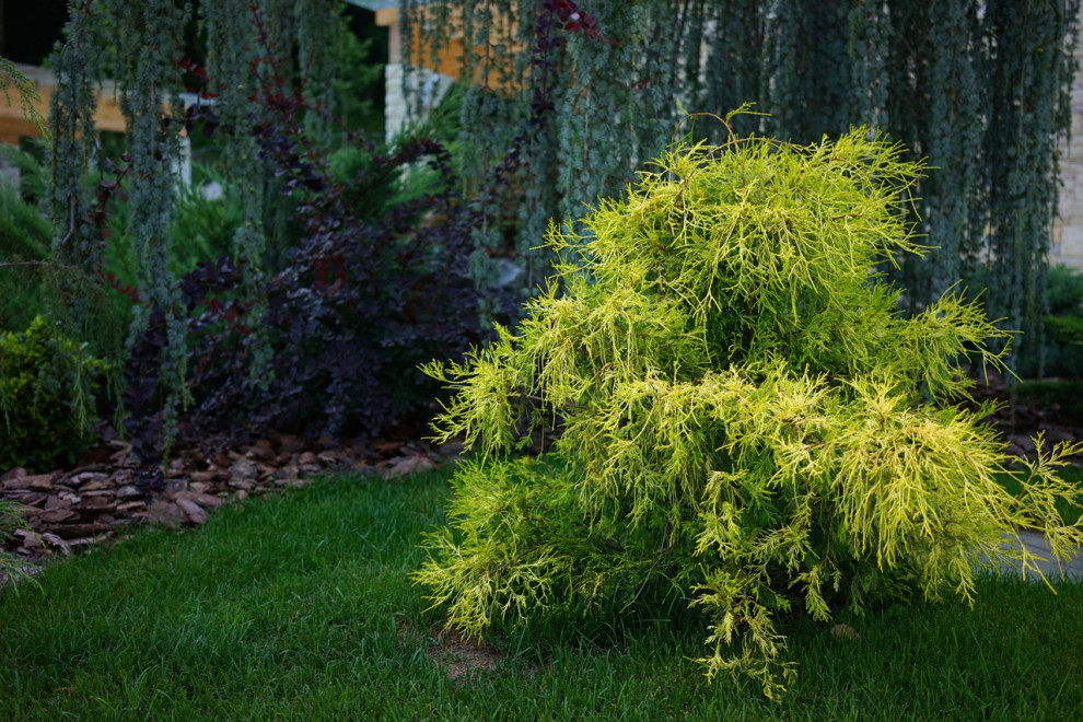 Лазурный Берег Сочи