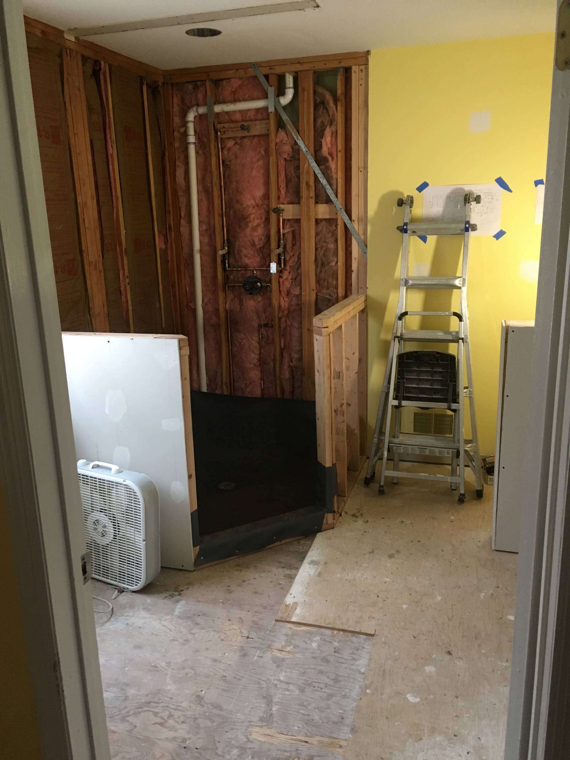 Bathroom Demolition