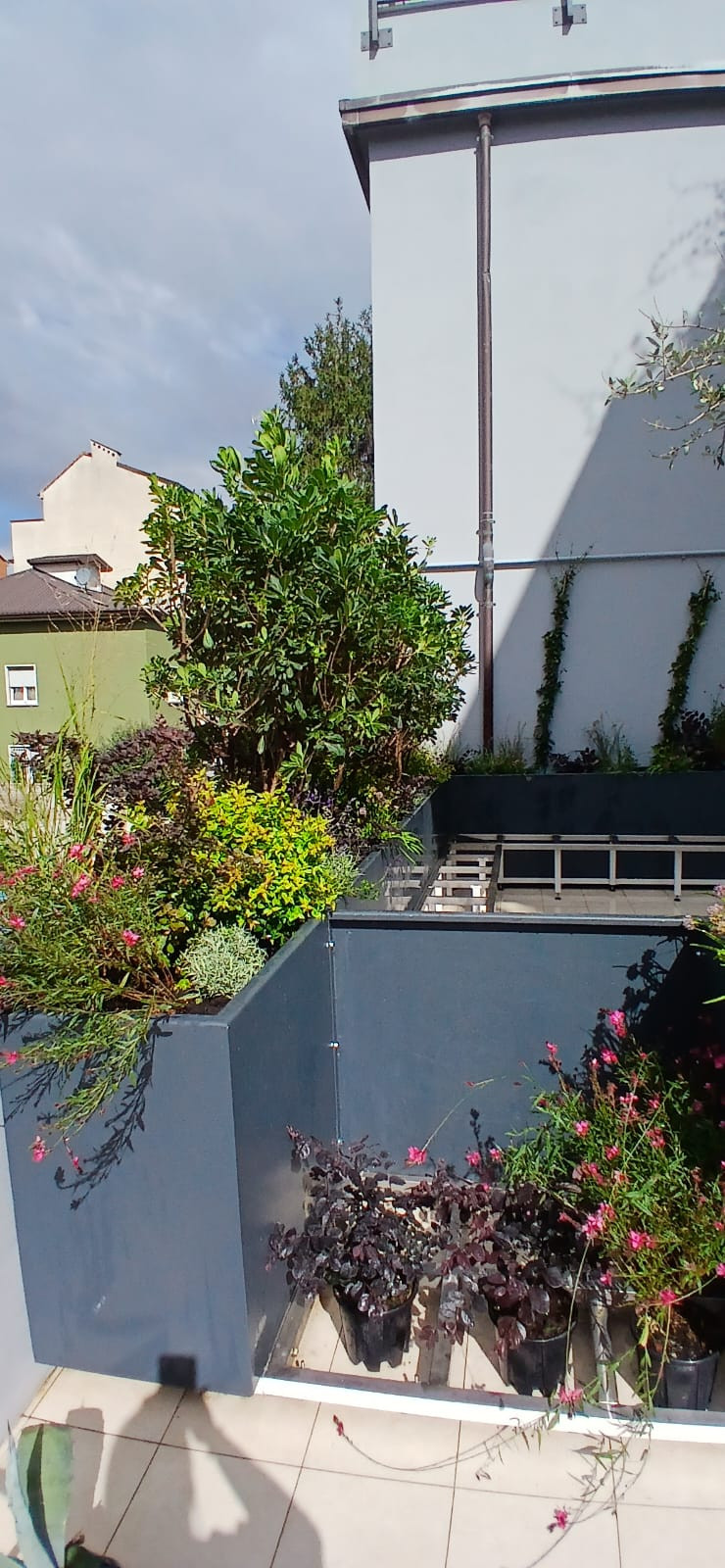 Realizzazione Terrazza dai sapori mediterranei