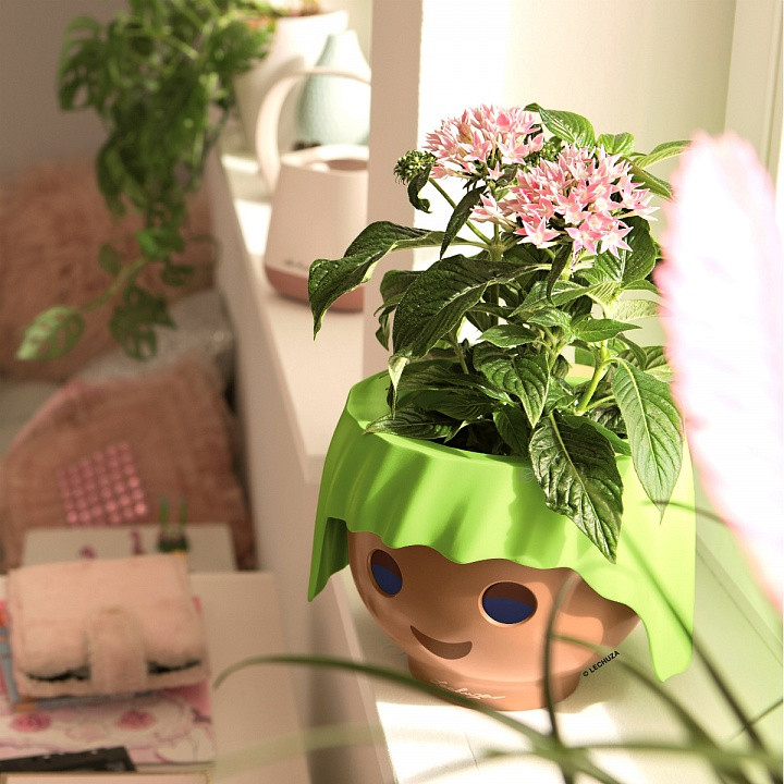 Растения для детской