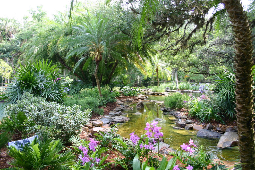 Inspiration for a tropical backyard garden in Tampa with with pond.
