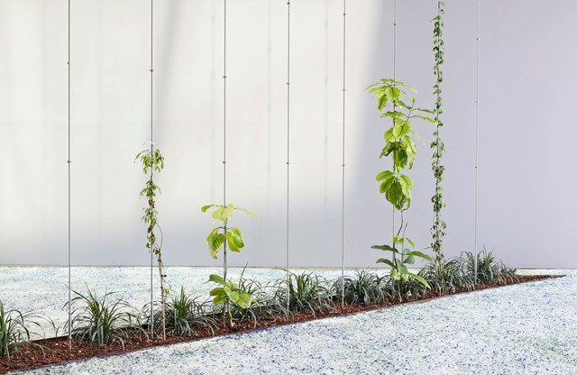 Cable Trellis Systems - Miami - by Jakob Rope Systems USA | Houzz IE