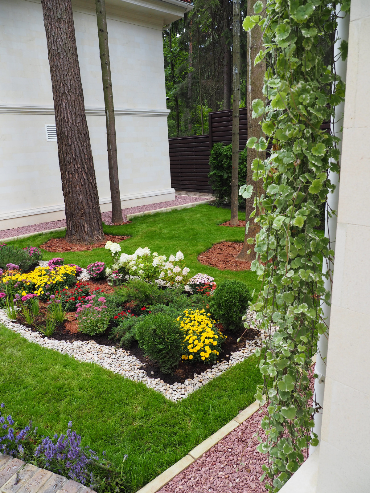 Проект Грибово