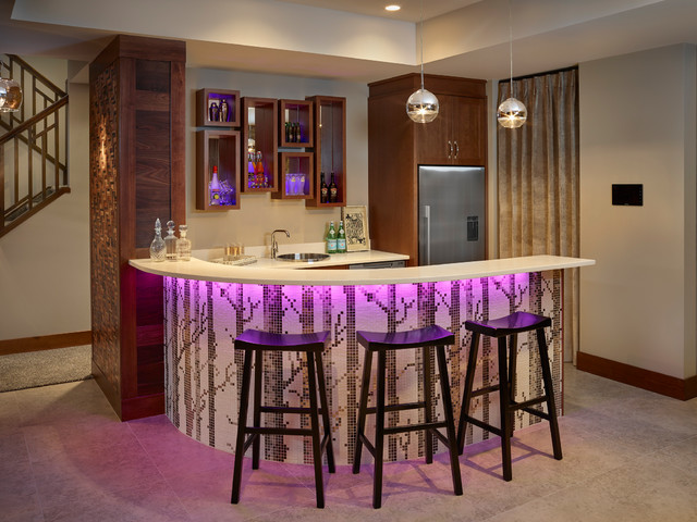 Transitional modern-hausbar