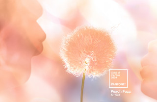 Pantone Picks a Peach for Its 2024 Color of the Year (17 photos)