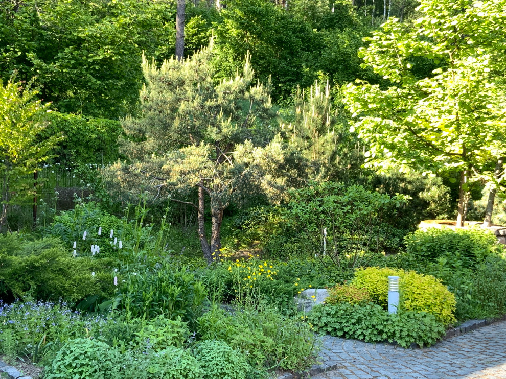 Сад натуралистического стиля