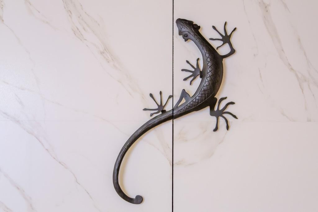 Под знаком саламандры