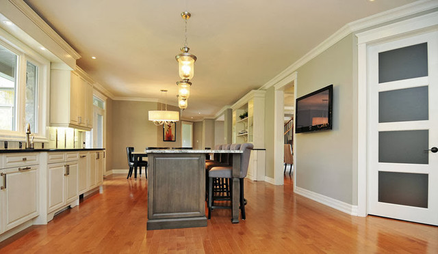 Jiulia Lake Kitchen transitional-kitchen