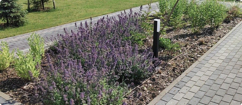 КП Сувантоярви