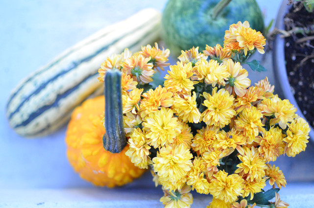 Ein Schoner Garten Im Herbst Mit Diesen 11 Ideen Gelingt Er