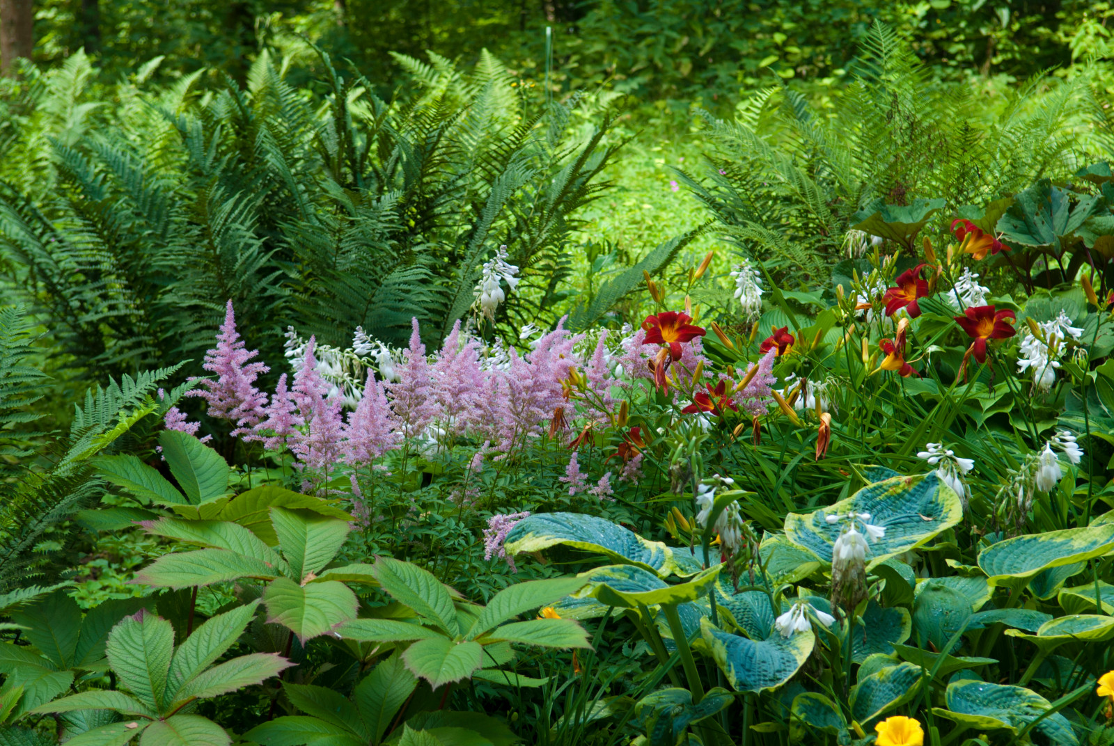 Немного Natural Garden