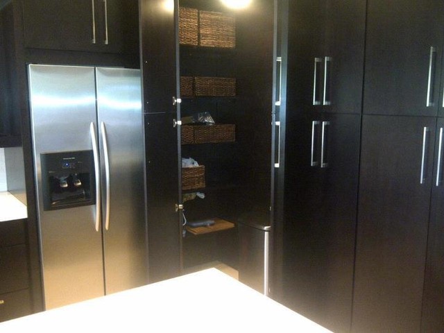 Wald Custom Corner Pantry Contemporary Kitchen Orlando By