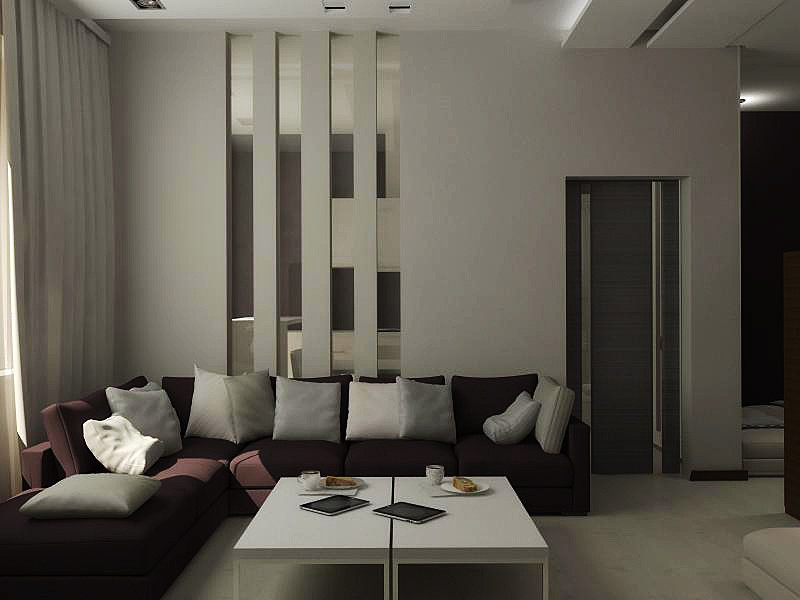 гостиная и кухня для девушки