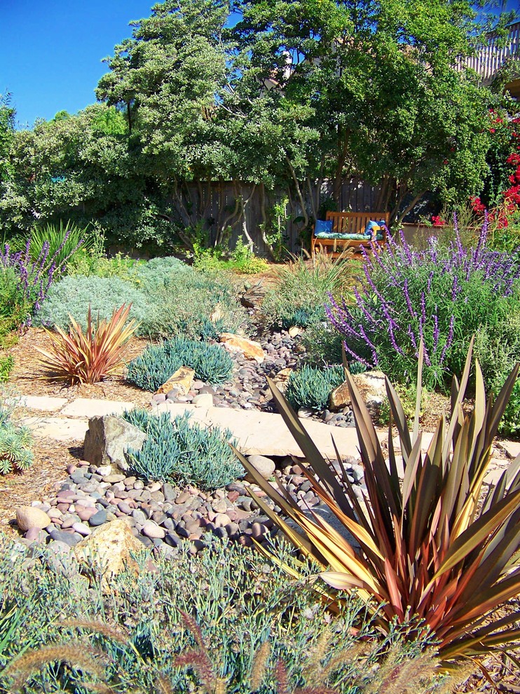 This is an example of a mediterranean full sun xeriscape in San Diego.