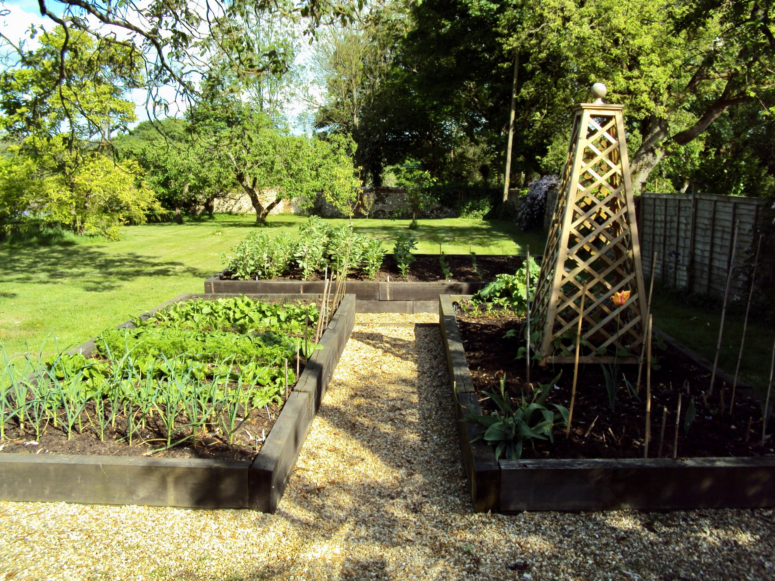 Vegetable Patches