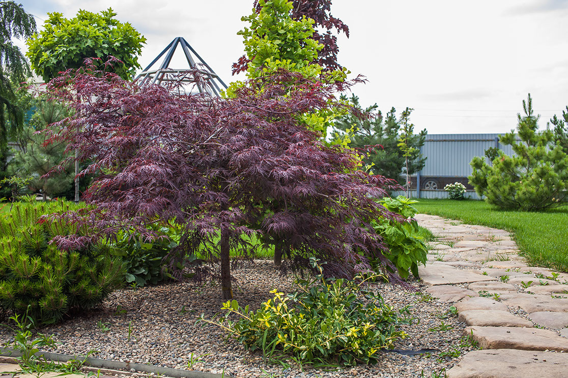 ландшафтный дизайн 2