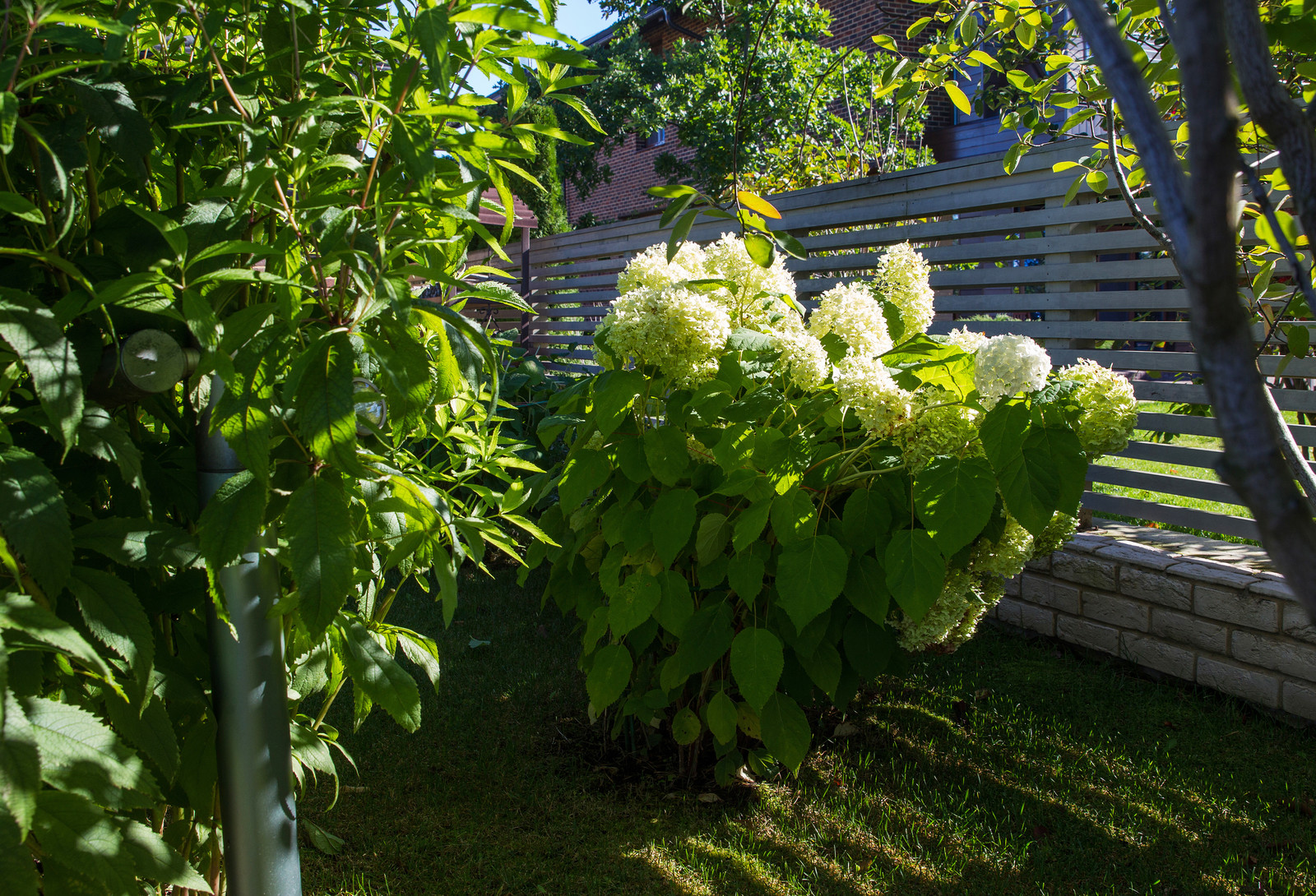 Сад на Пятницком шоссе.  Дизайнер Лариса Юрова