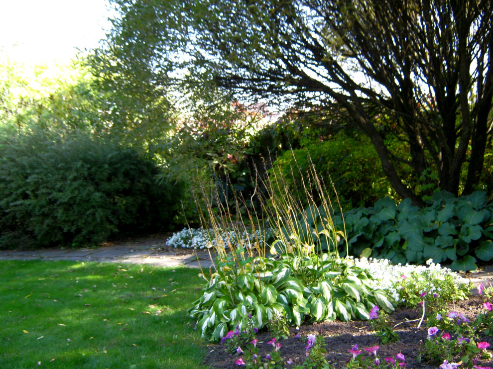 Фотографии моих работ