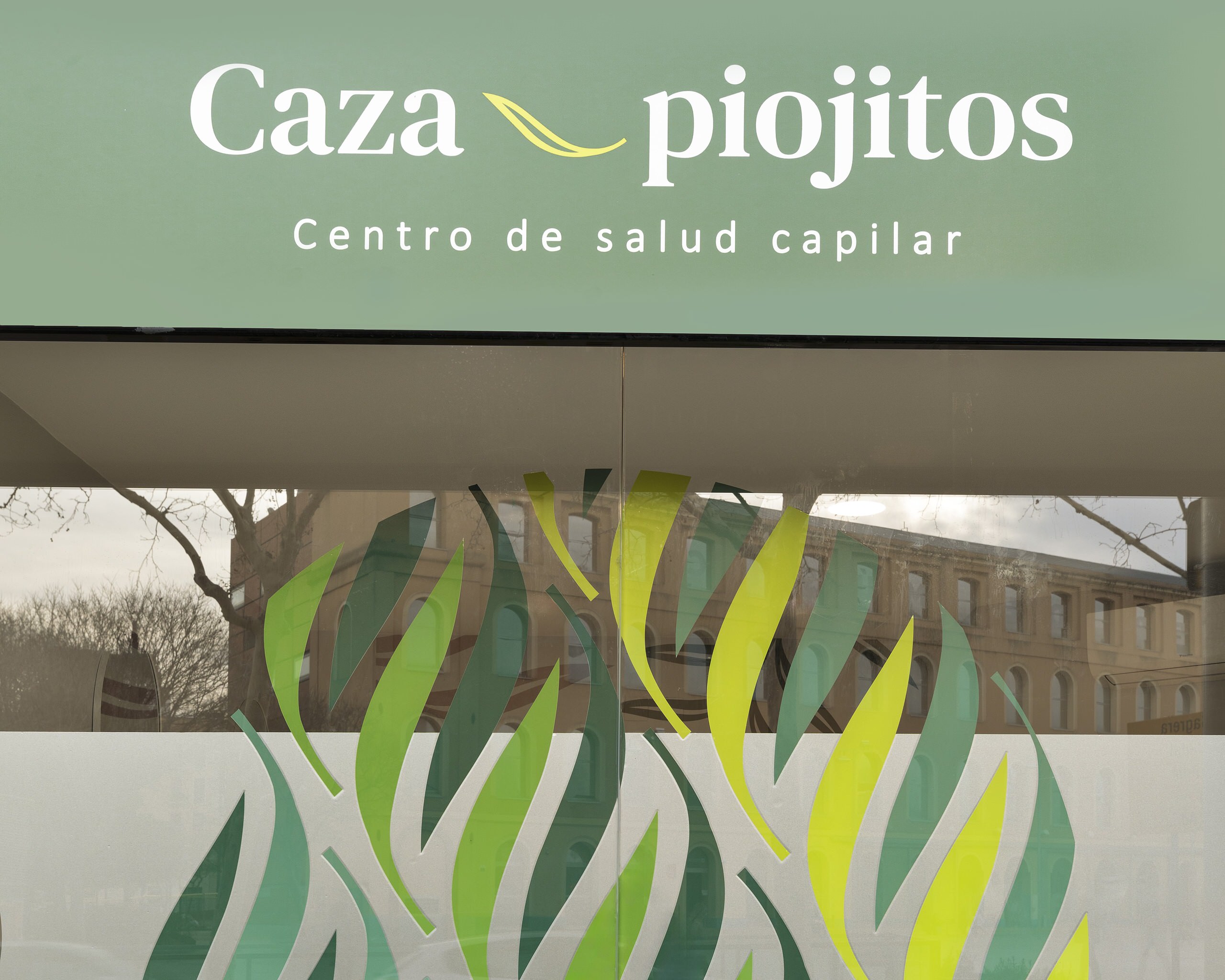 CAZA PIOJITOS