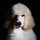 liz_daniell48