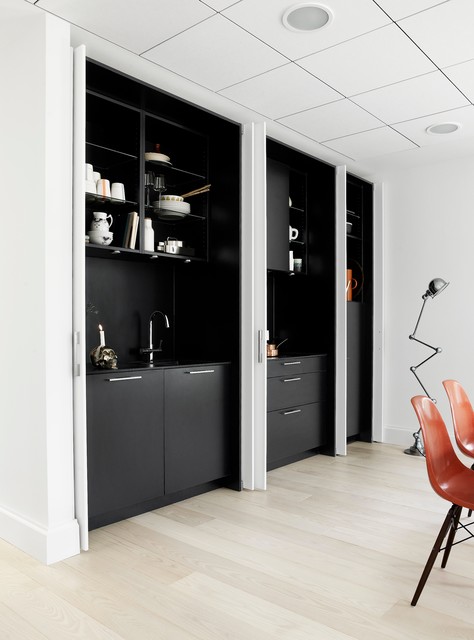 Form 2 / Pocket doors modern-kitchen
