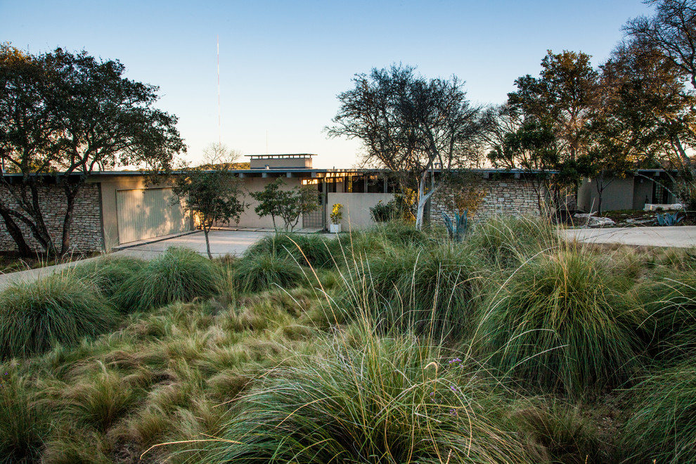 Design ideas for a midcentury front yard xeriscape in Austin.
