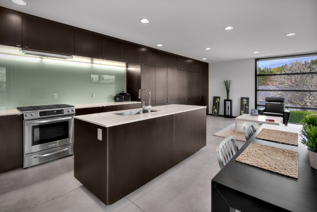 Modern Kitchen modern-kitchen