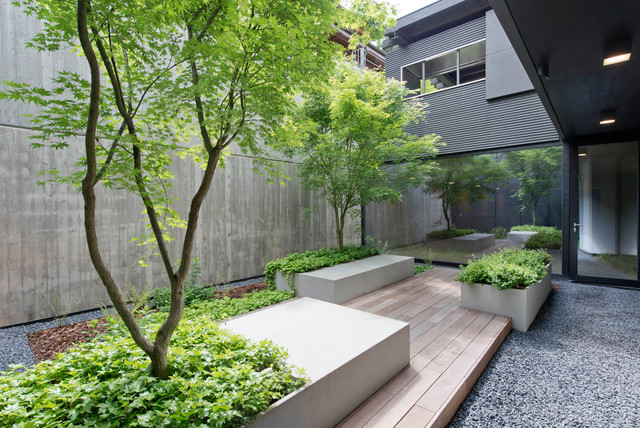 casa FFF contemporaneo-patio