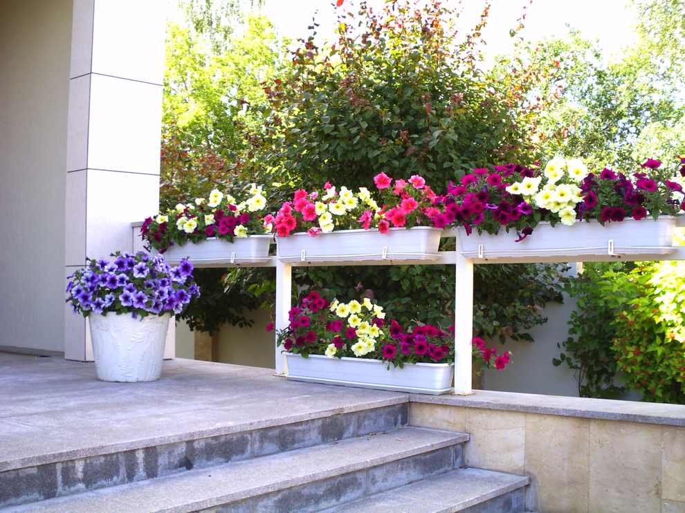 Маленький камерный сад.