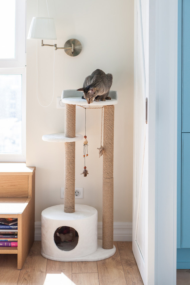 Квартира в Люберцах. Съемка для компании Мастер