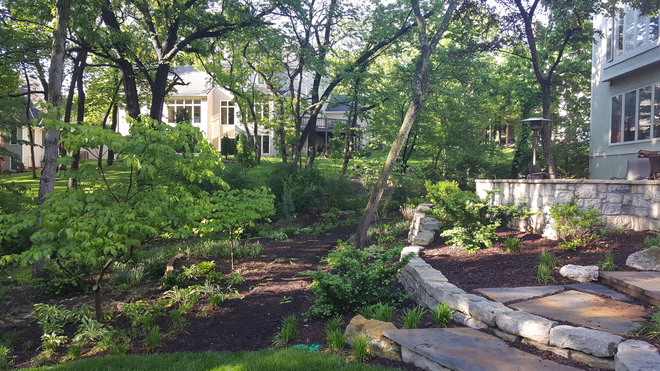 WOODLAND HILLSIDE