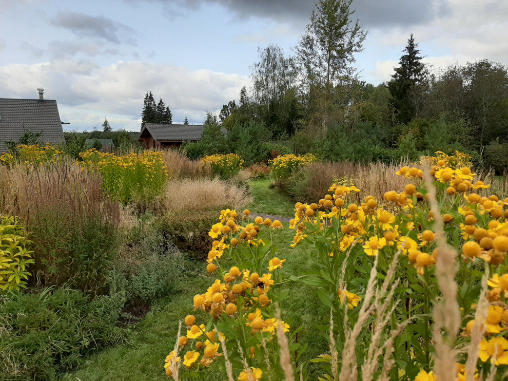 Сад "Три плюс два"