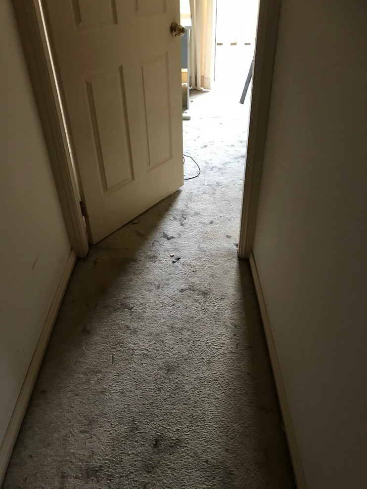 A BROKEN HOME - GETS REPAIRED READY FOR SALE