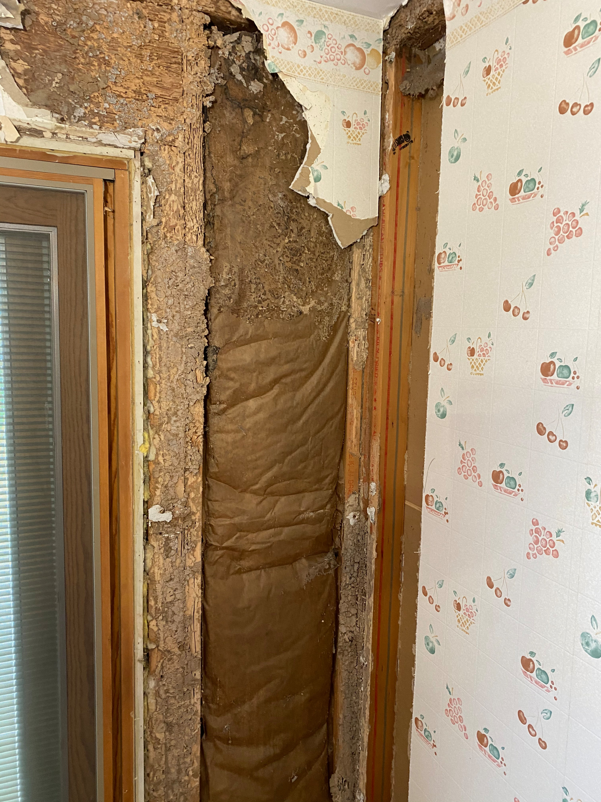Bowie Termite Damage Repair