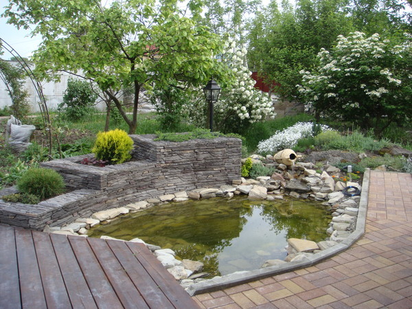 Пруды/водоёмы