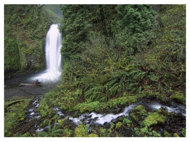 Multnomah Falls Cascading Columbia River Gorge Paper Art 26x20