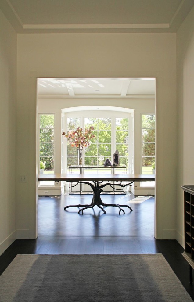 This is an example of a large contemporary entry hall in Other with beige walls, dark hardwood floors and brown floor.