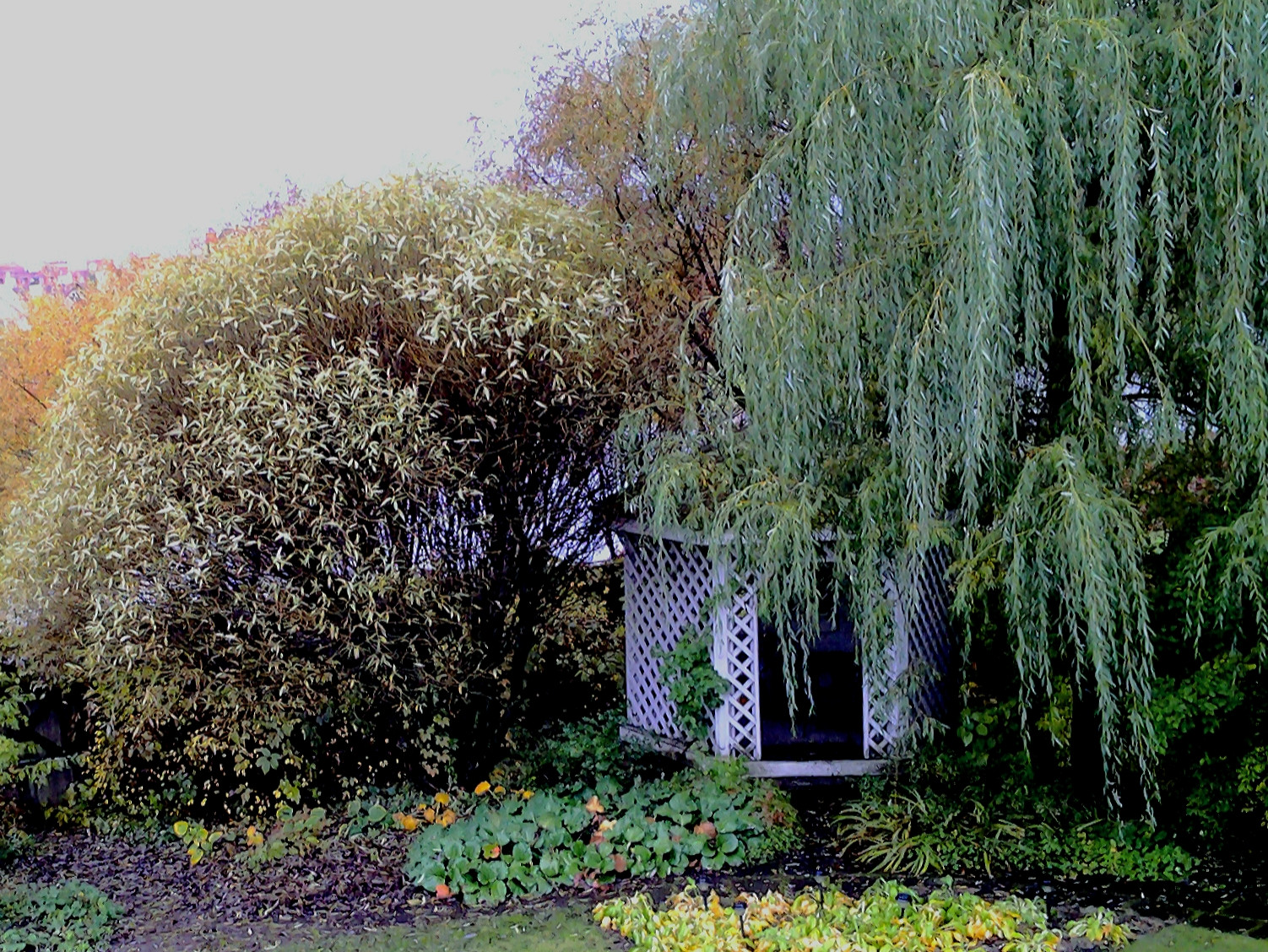 Фотографии моих работ