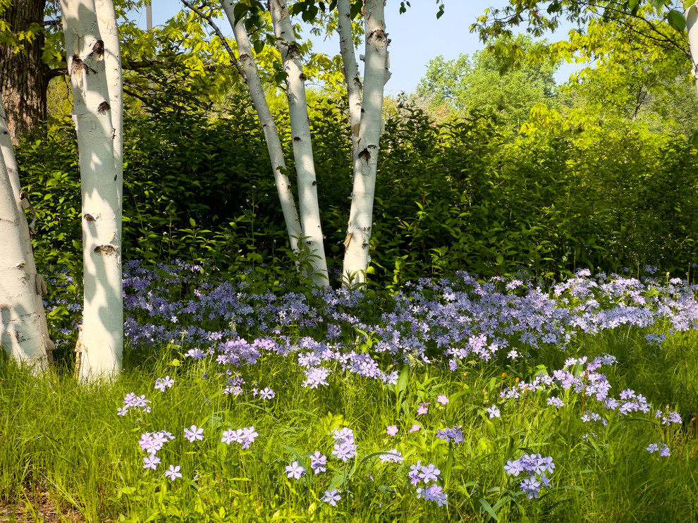 Pollinator garden with native plants and custom stone hardscapes