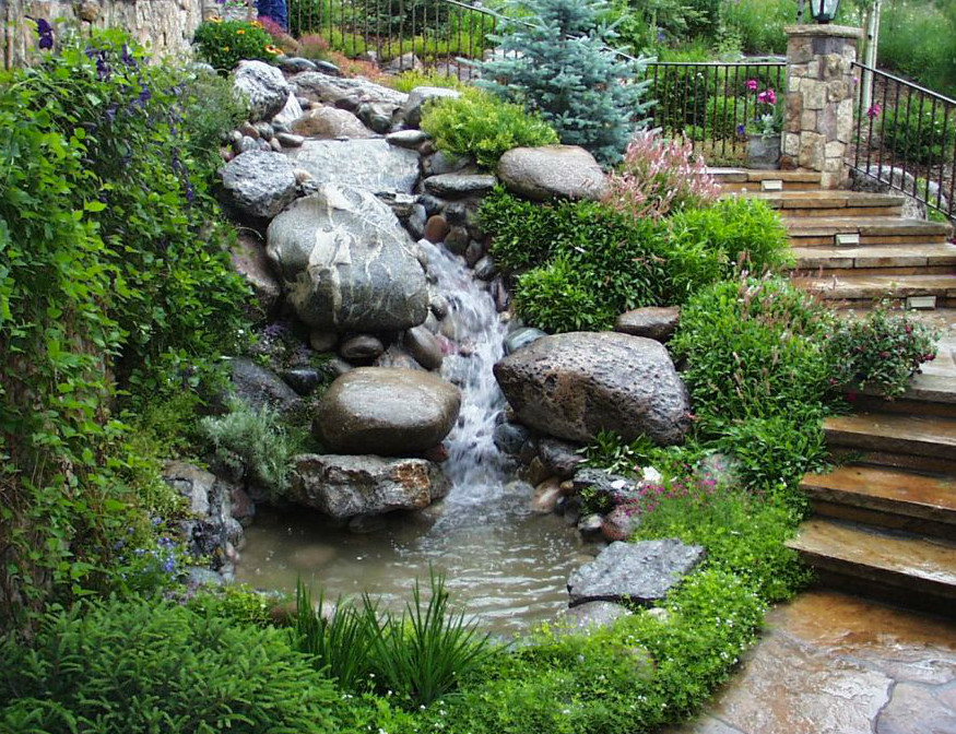 Design ideas for a tropical pool in Denver.