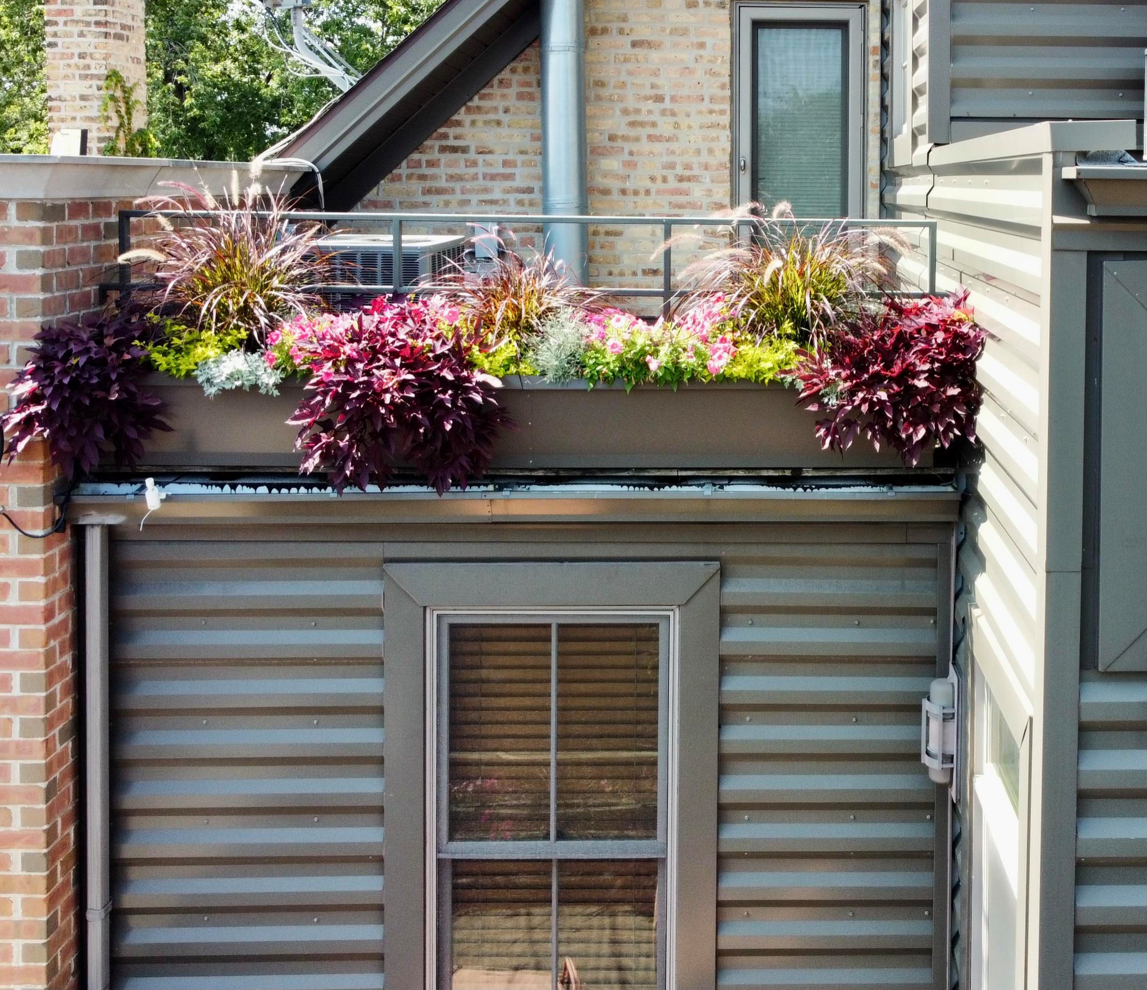 Fine Tuning an Established Garden