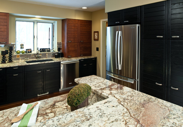 Transitional Remodel transitional-kitchen